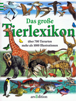 Buch 5